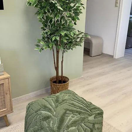 Prázdninový dům City-appartment Am Muehlbach -kurpark Bad Aibling